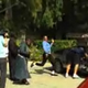 Image for article titled Repo Man Recovering Delorean Kicked In Taint By Michael Jackson Impersonator